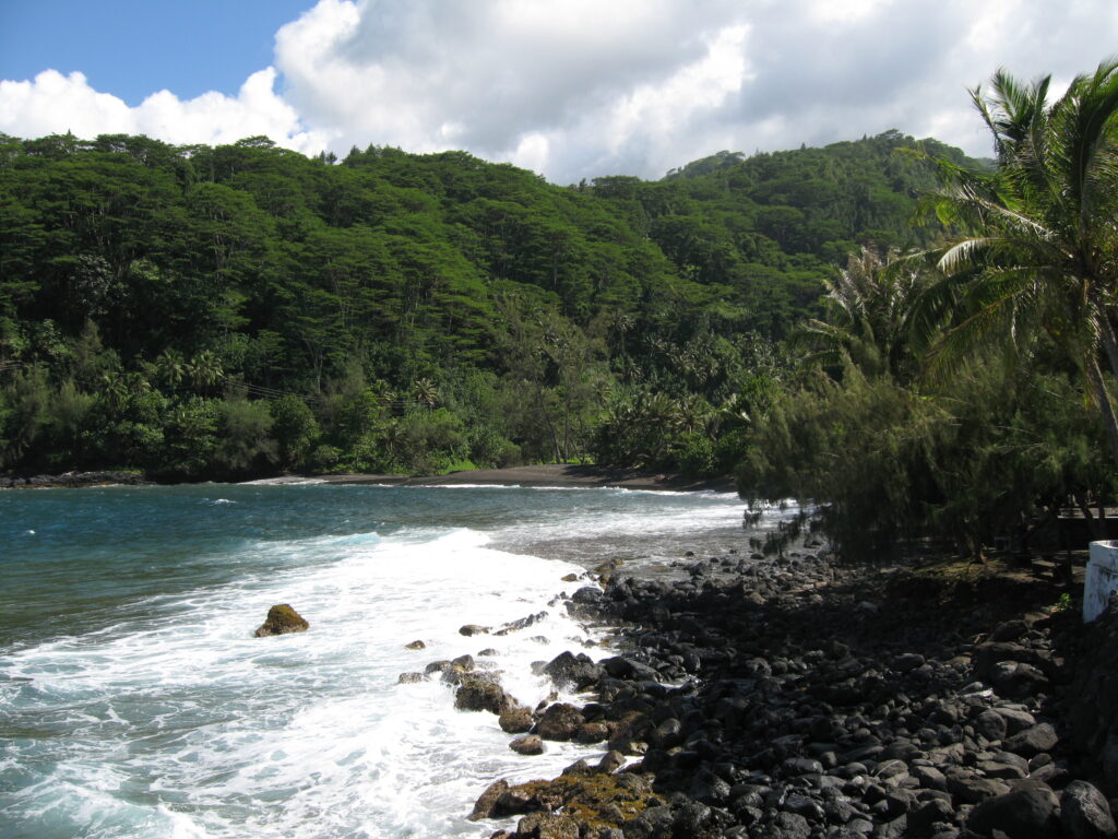 Tropical coastline with lush green forest.