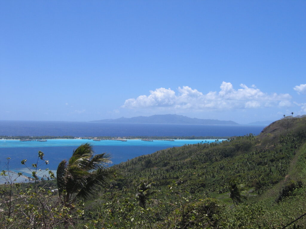 Tropical coastline with blue ocean and greenery.