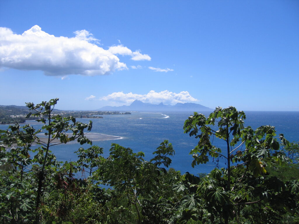 Ocean view with distant mountains and trees.
