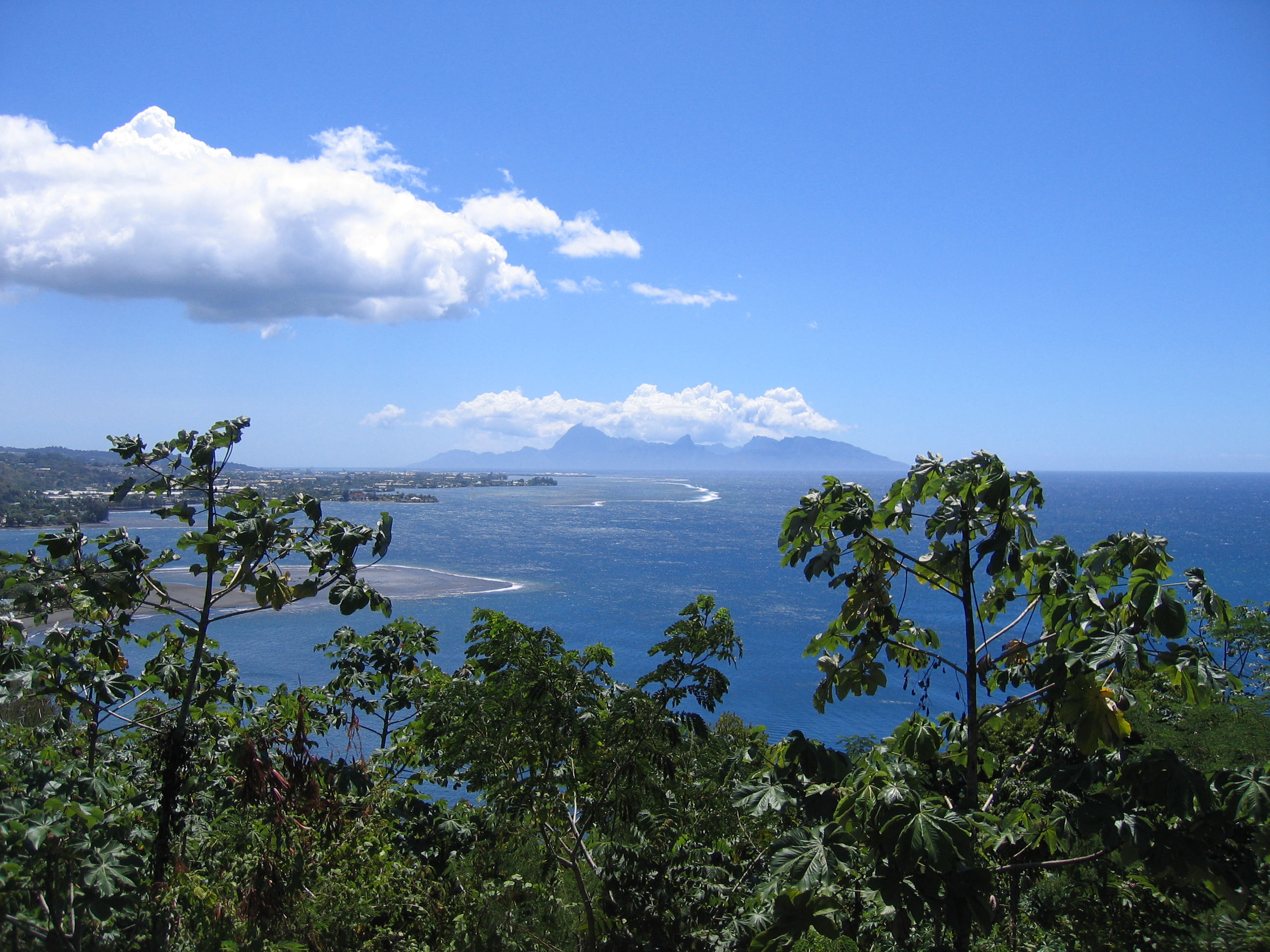 Ocean view with distant mountains and trees.