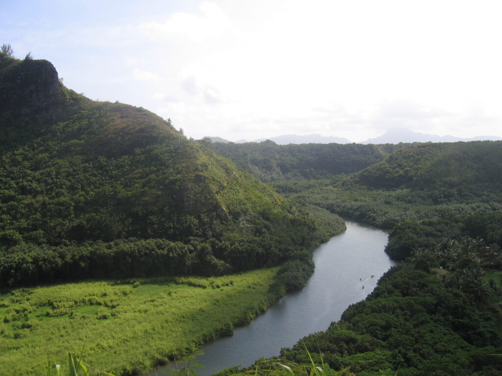 River winding through lush green landscape.