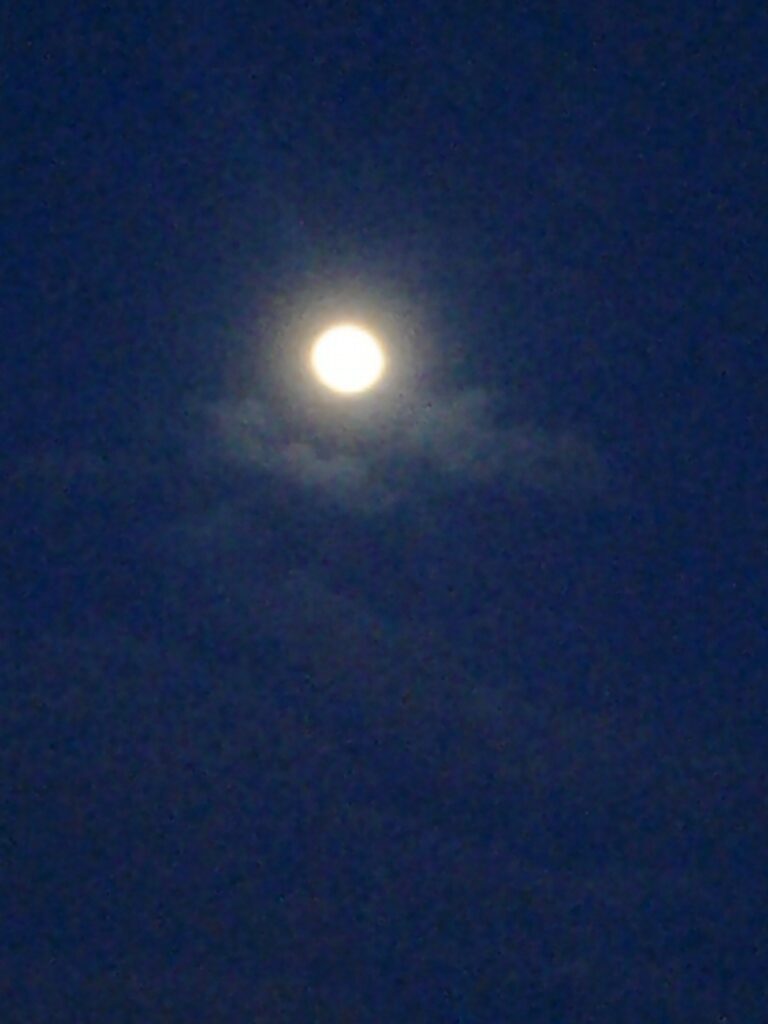 Bright moon in a dark night sky.