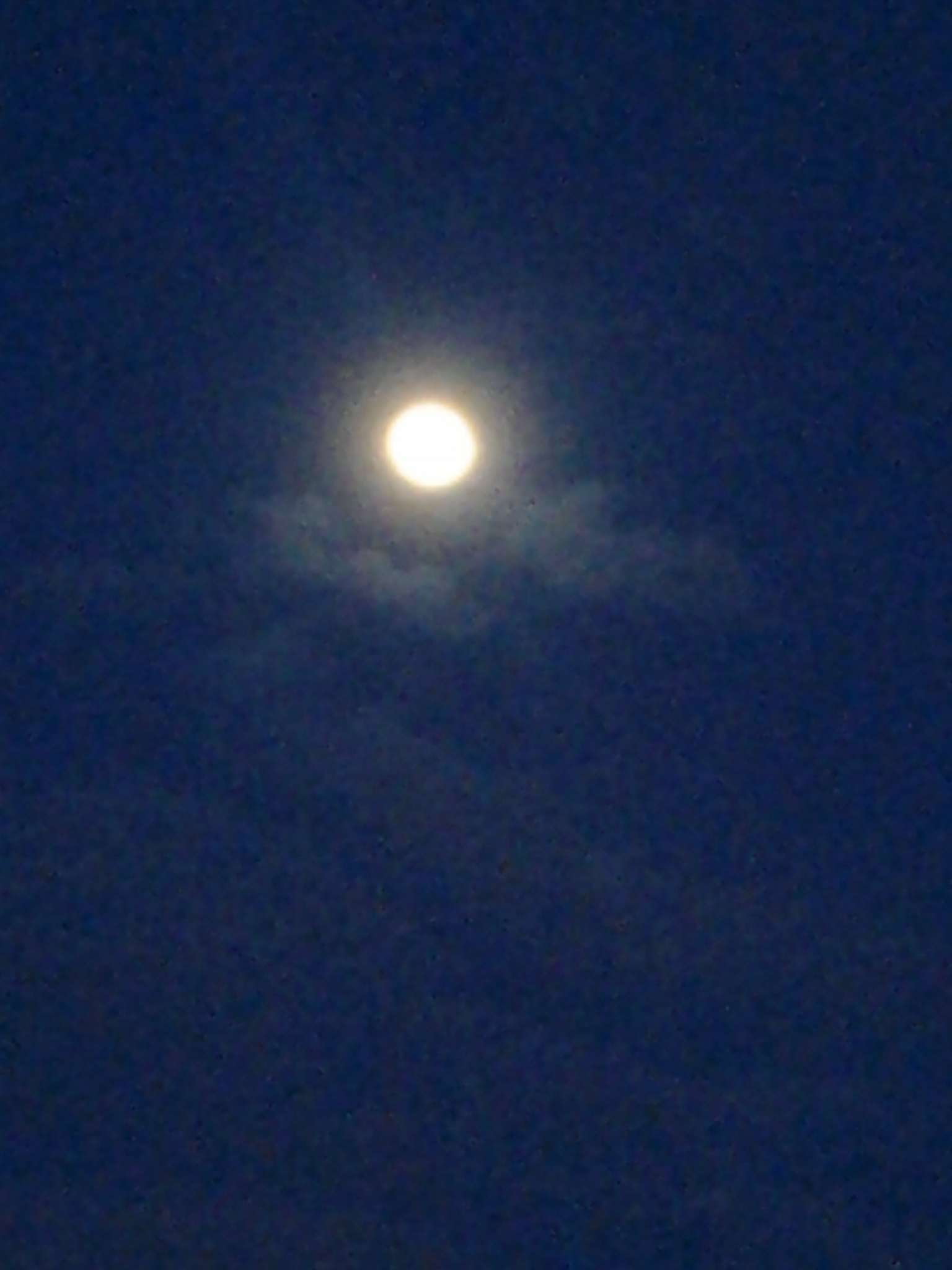 Bright moon in a dark night sky.