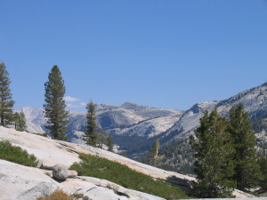 Mountain landscape with trees under clear sky.