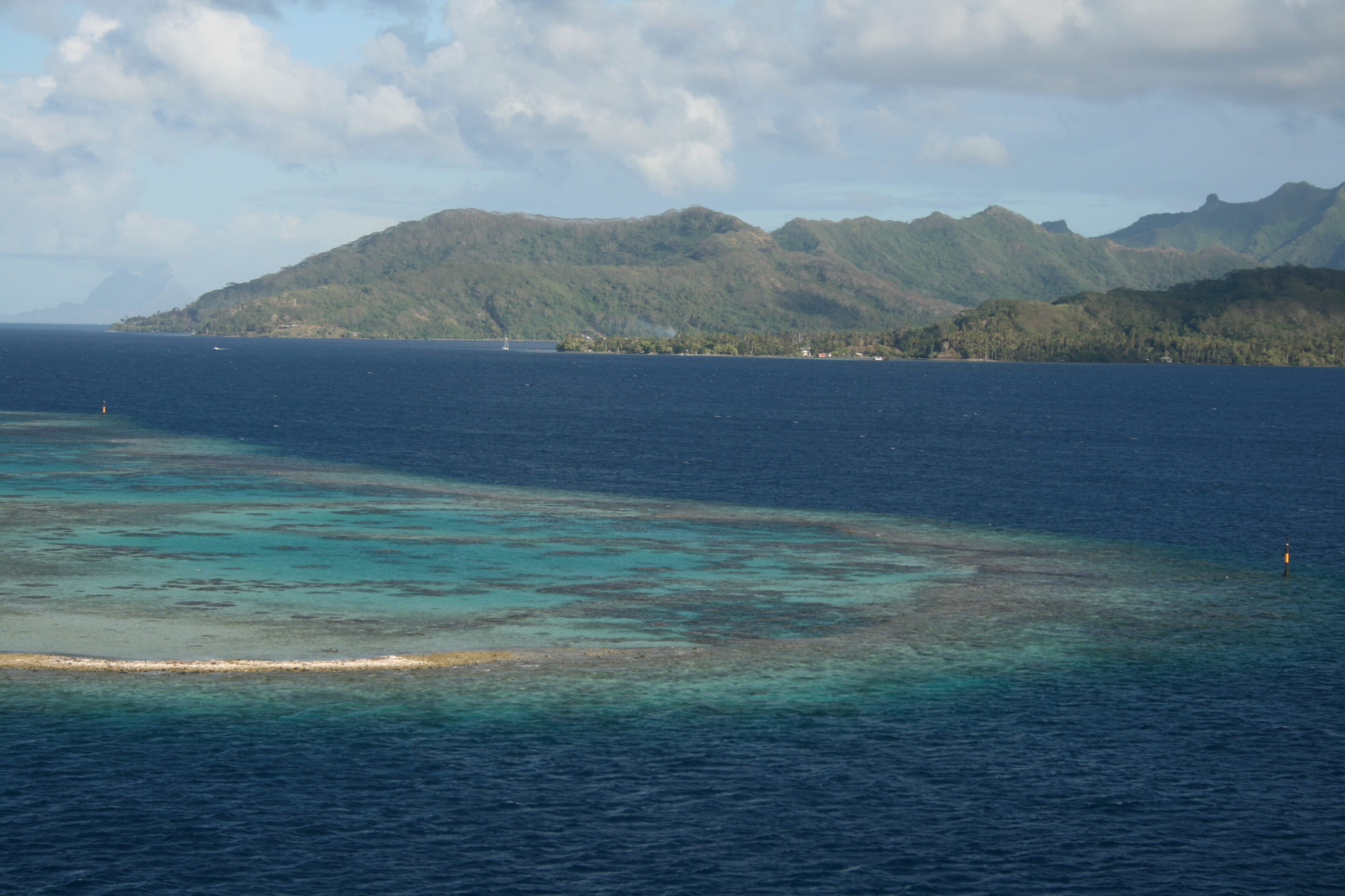 Tropical island with surrounding coral reef.