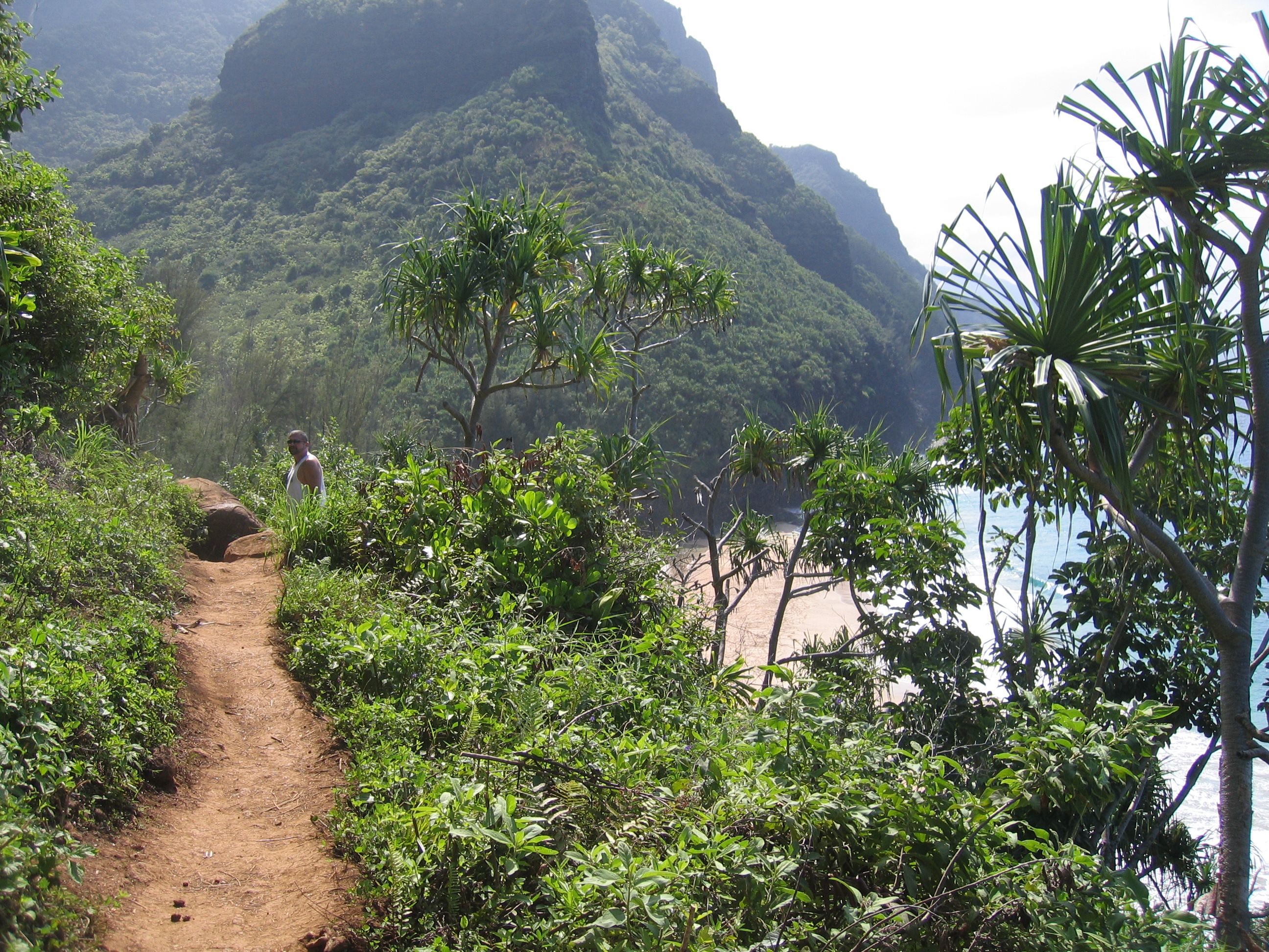 Coastal hiking trail through lush green landscape.