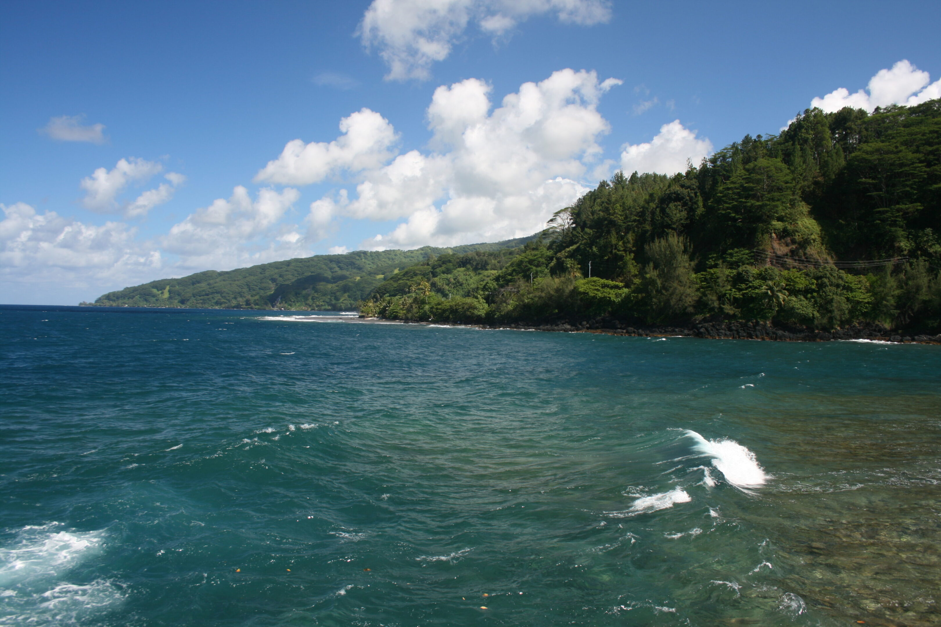 Coastal landscape with lush greenery and ocean.