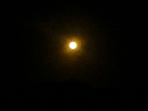 Moon Photo