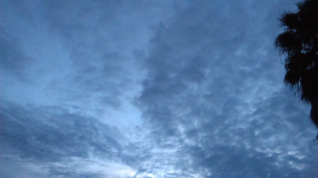 Cloudy sky with silhouette of palm tree.