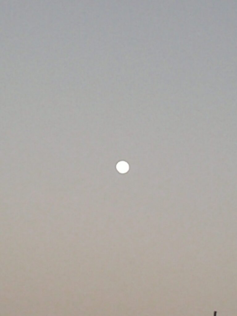 Full moon in a clear evening sky.
