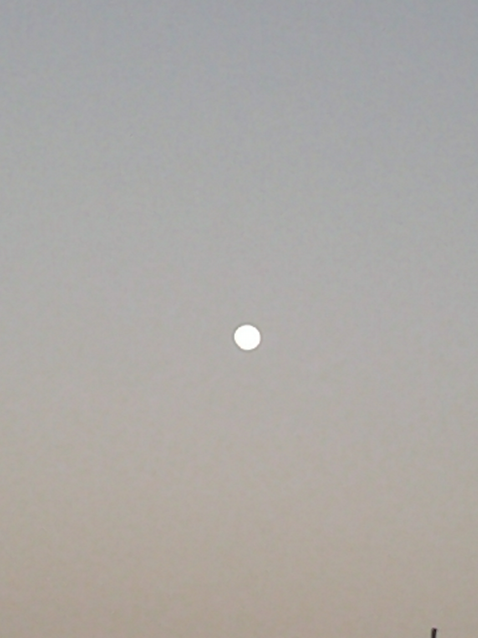 Full moon in a clear evening sky.