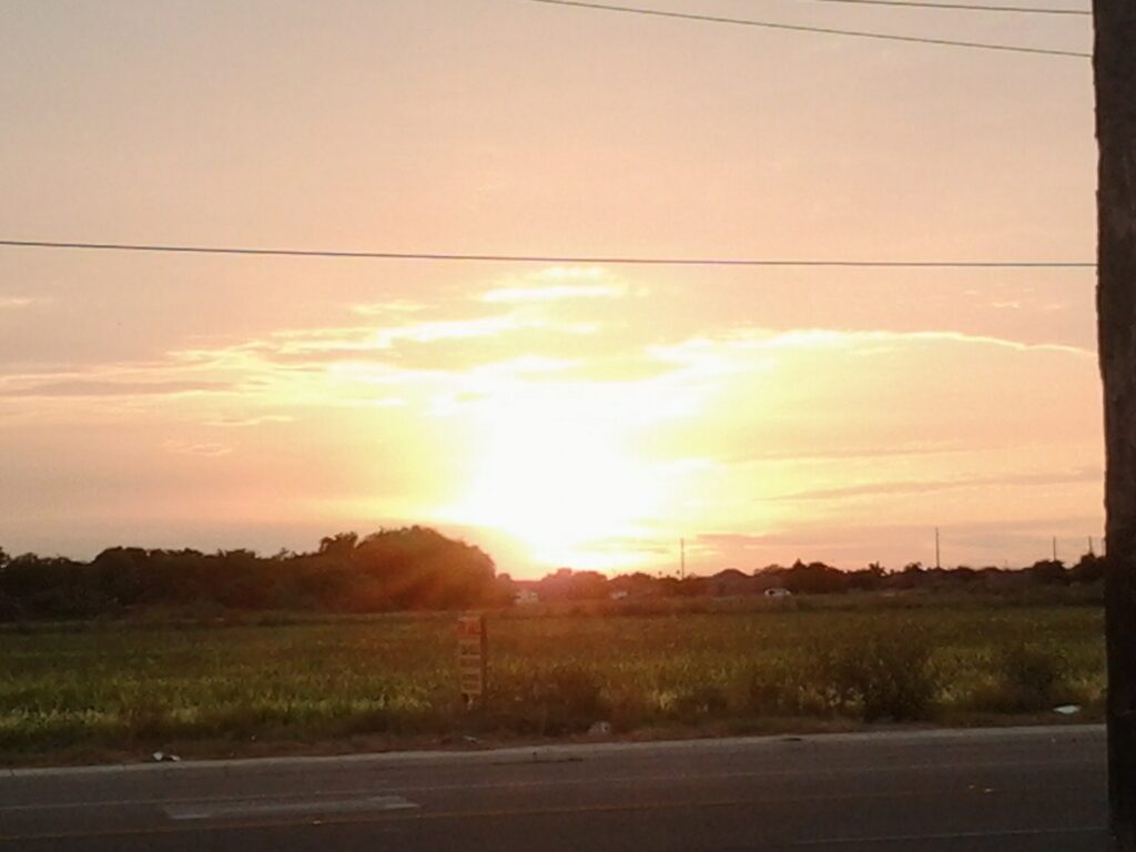Sunset over field with distant trees.