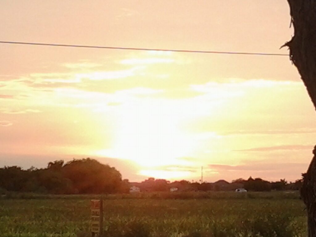 Sunset over a grassy field and horizon.