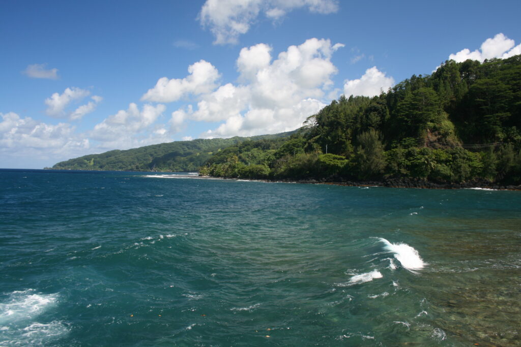 Coastal landscape with ocean and lush greenery.