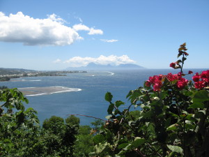 Ocean view with mountains and flowers.
