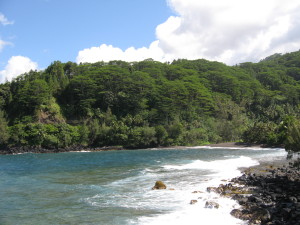 Tropical coastline with lush greenery and ocean.