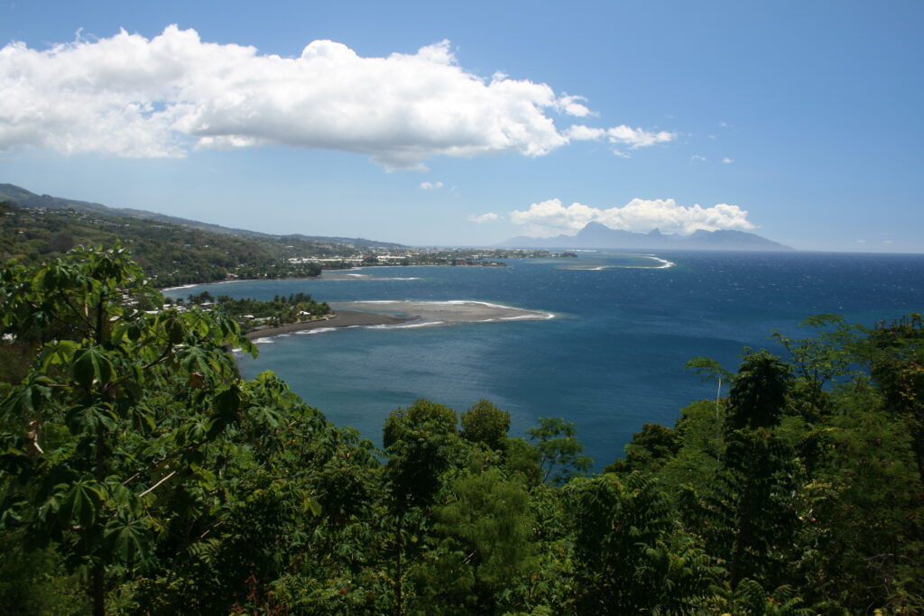 Coastal landscape with lush greenery and ocean.