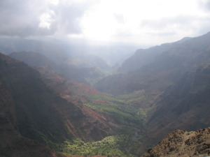 Foggy mountain valley with lush greenery.