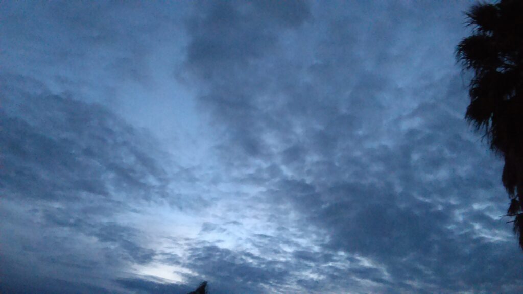Cloudy sky during early evening with trees.
