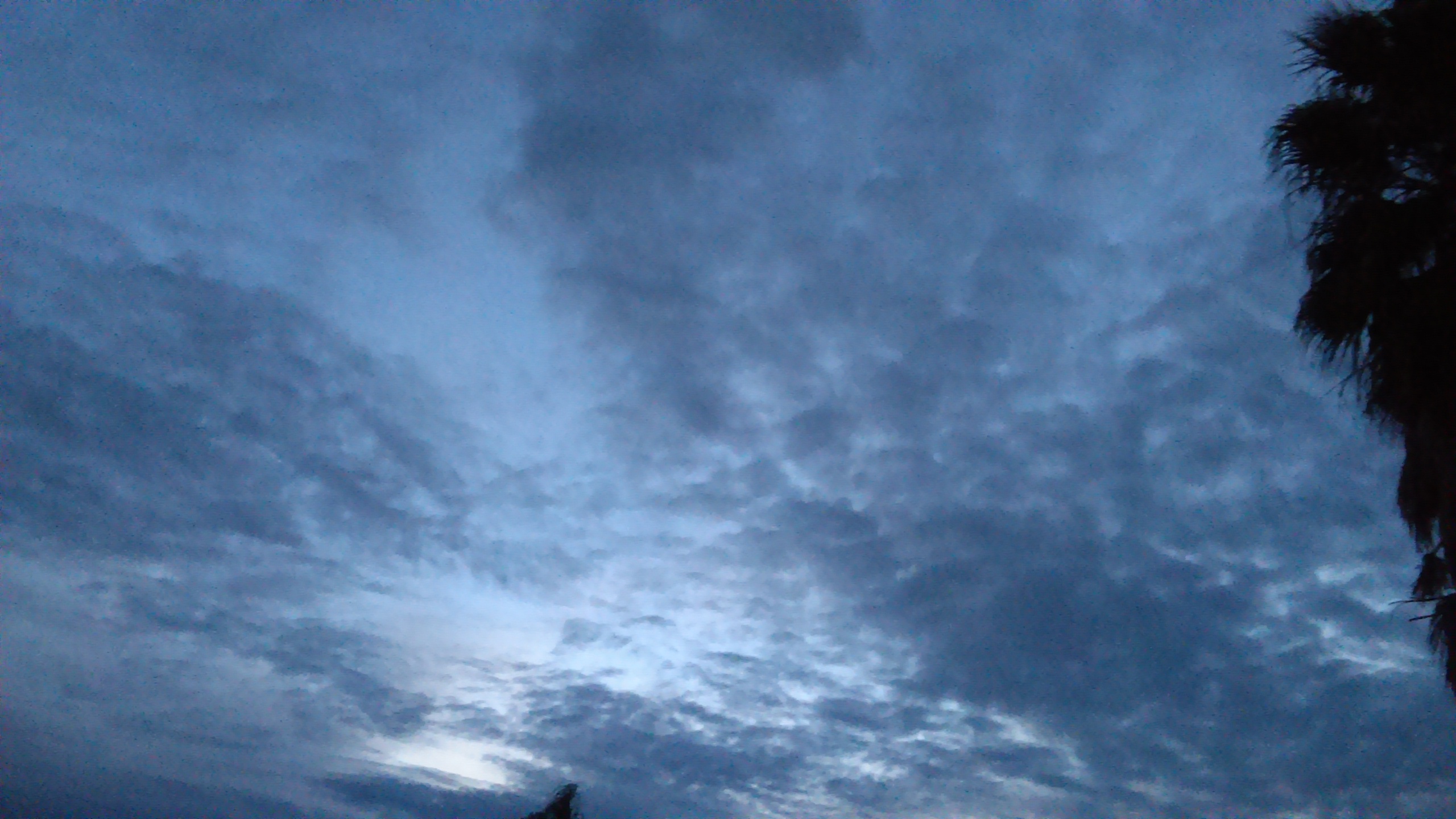 Cloudy sky during early evening with trees.