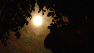 Moon shining through silhouetted tree branches.