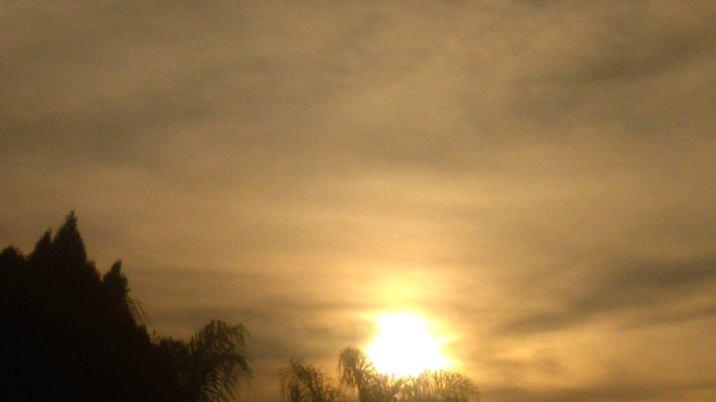 Sunset with silhouetted trees and cloudy sky.