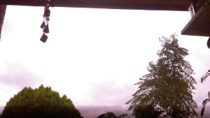 Lightning in the back yard