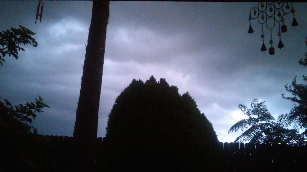Dark stormy sky over silhouetted trees.