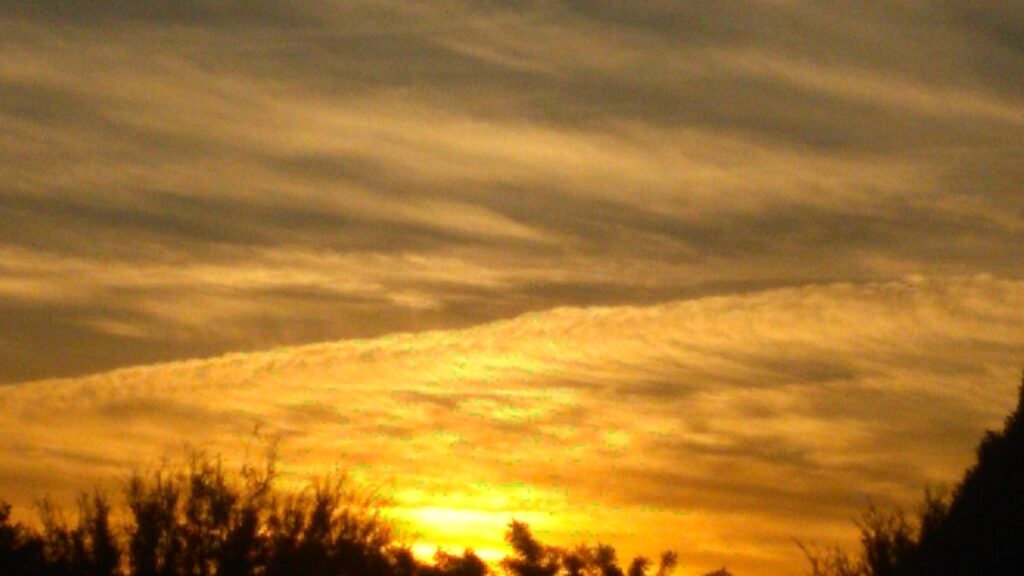 Golden sunset with silhouetted trees below.