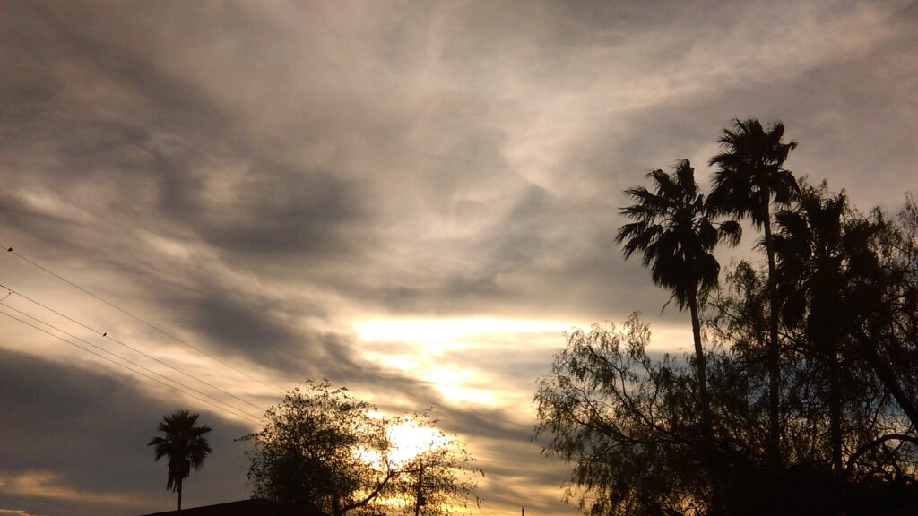 Silhouetted palm trees against cloudy sunset sky.