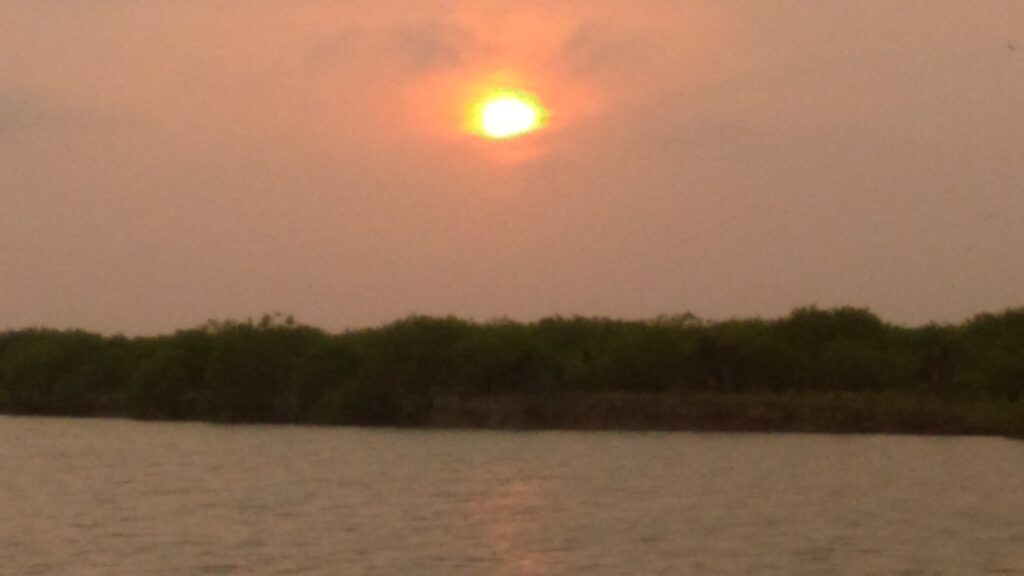 Sunset over calm water and trees.