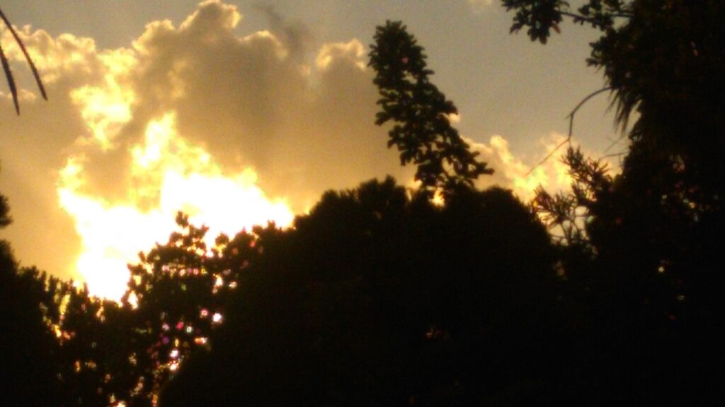 Sunset behind silhouetted trees and clouds.