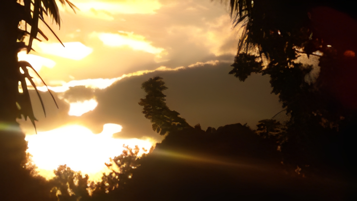 Sunset through silhouetted trees and clouds.