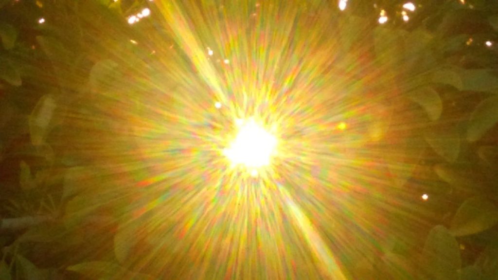 Bright sunburst through leafy branches.
