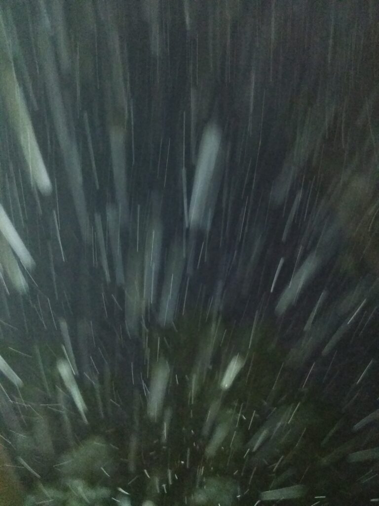Snowfall at night with blurred effect.