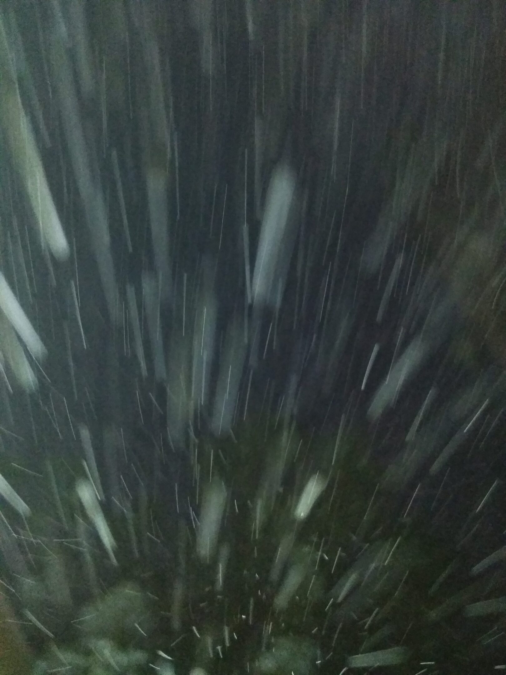 Snowfall at night with blurred effect.