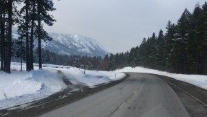 Snowy mountain road with pine trees.
