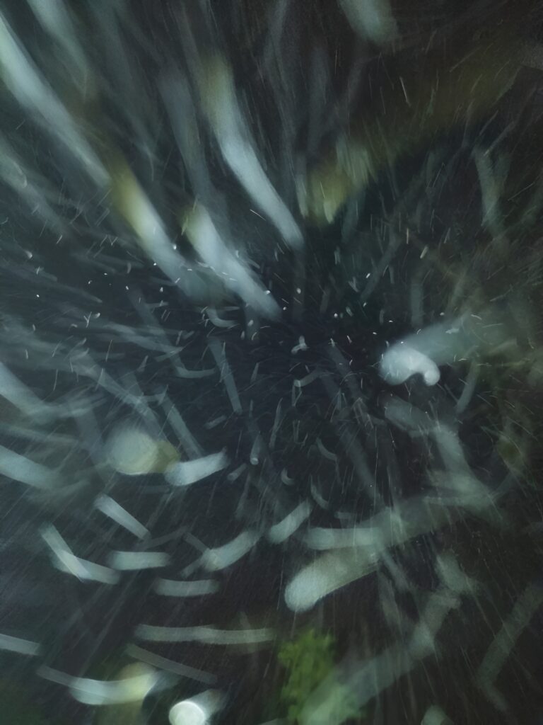 Blurry swirling snowflakes against dark background