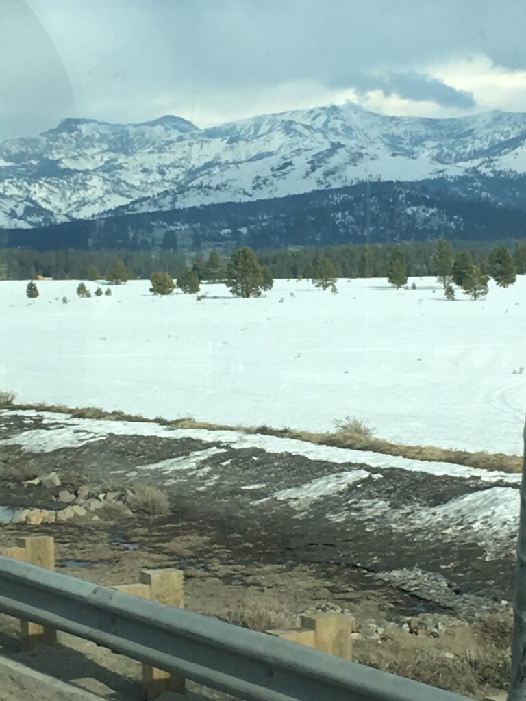 Snowy mountain landscape with trees and road.