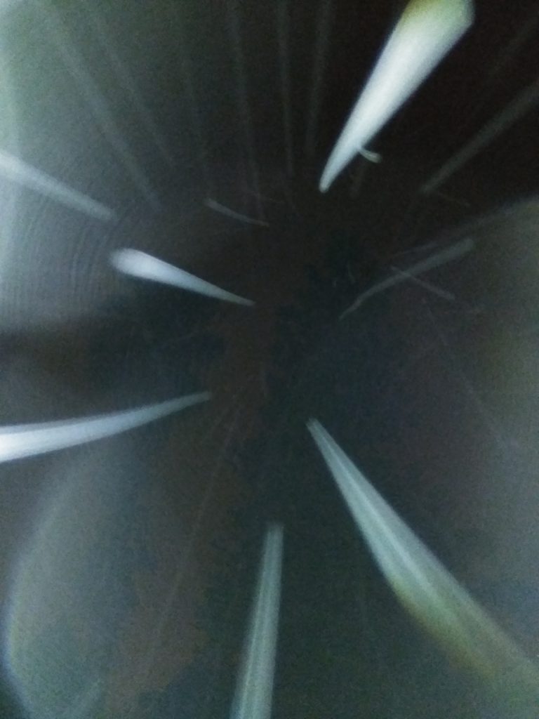 Abstract light streaks against dark background.