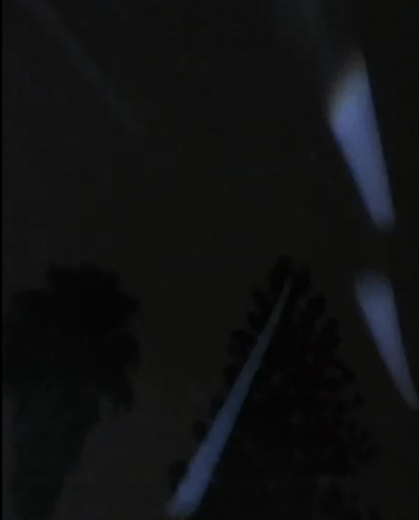 Dark sky with tree silhouettes and lights.