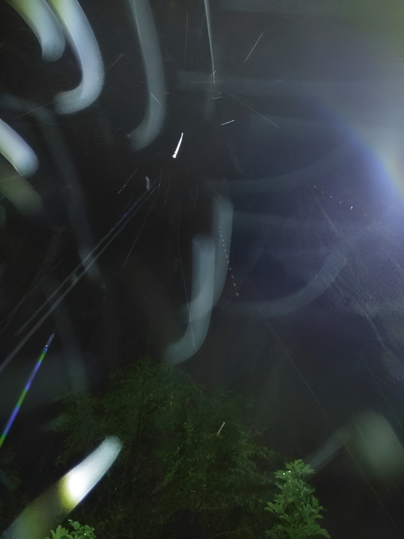 Night sky with light trails and trees