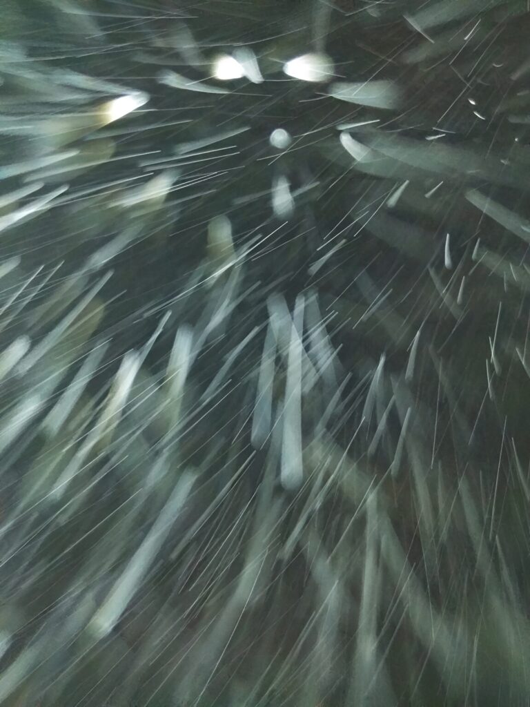 motion-blurred falling snow at night
