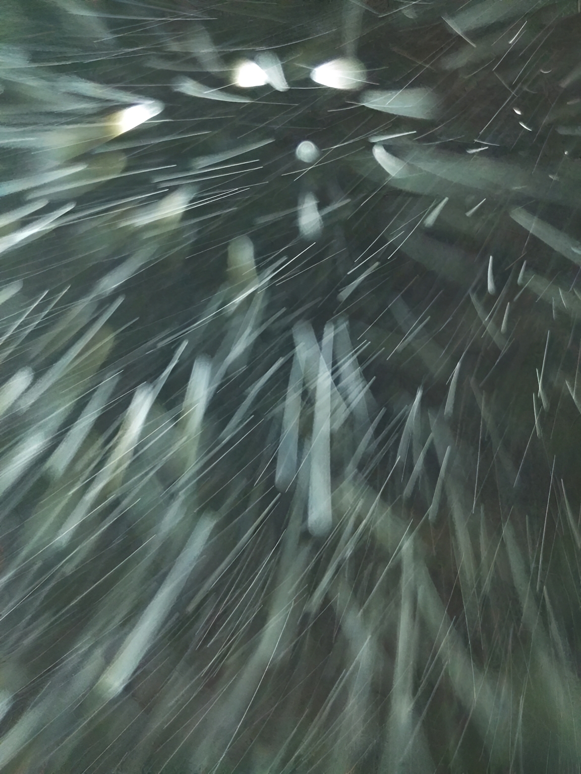 motion-blurred falling snow at night