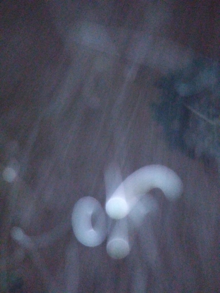 Blurry abstract light shapes on dark background.