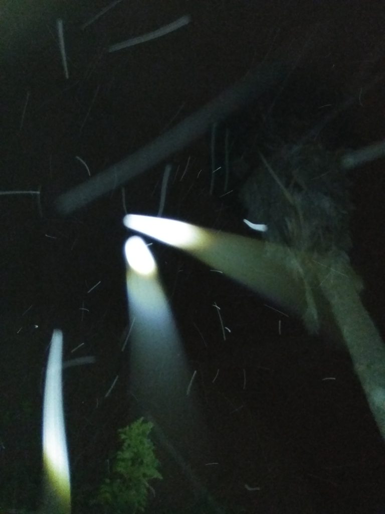 Spotlights shining through dark night sky.