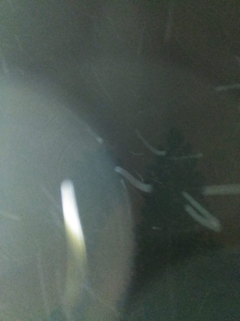 Blurry night scene with tree silhouette.