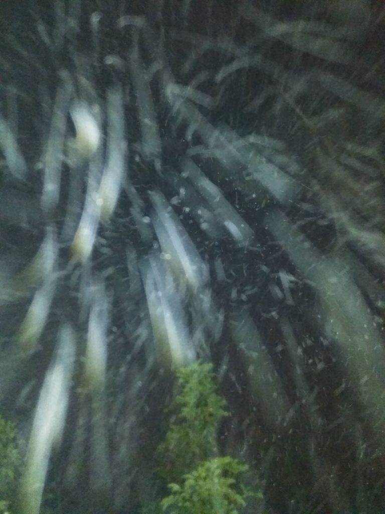 Snow falling at night with blurred motion.