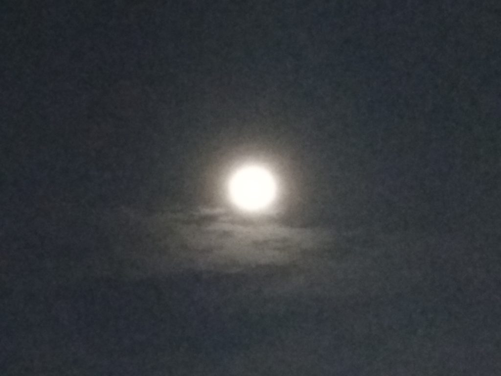 Bright full moon in a dark sky.
