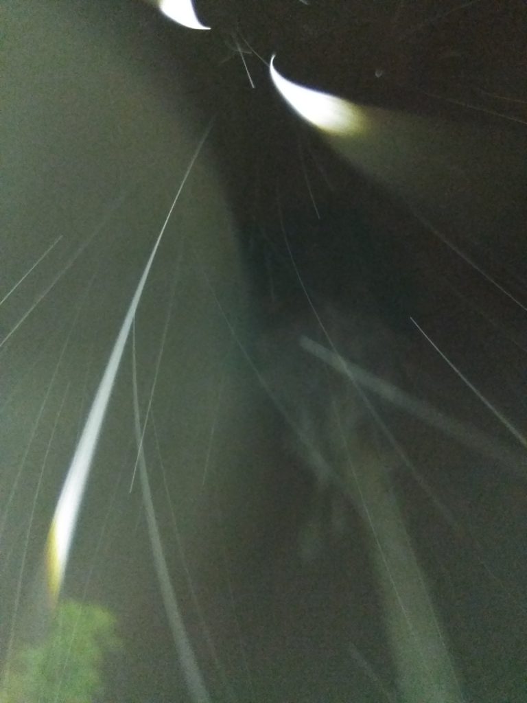 Abstract light streaks in dark sky.